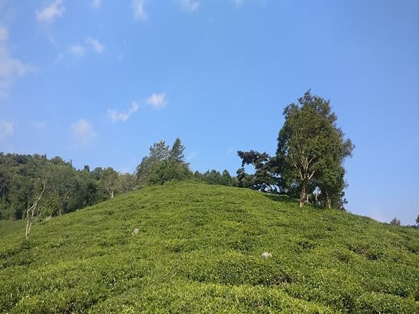 கேத்தரின் நீர் வீழ்ச்சி