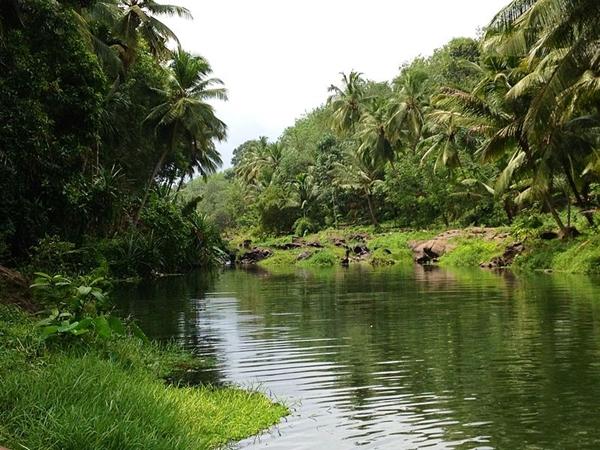 சுற்றுலா