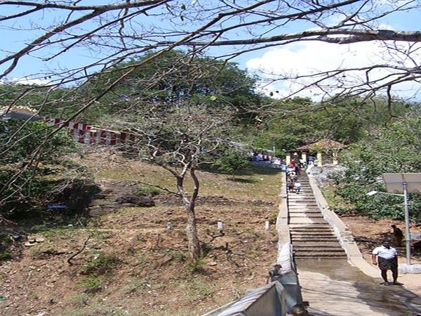 வயதானவர்களுக்கான ஜீப் வசதி