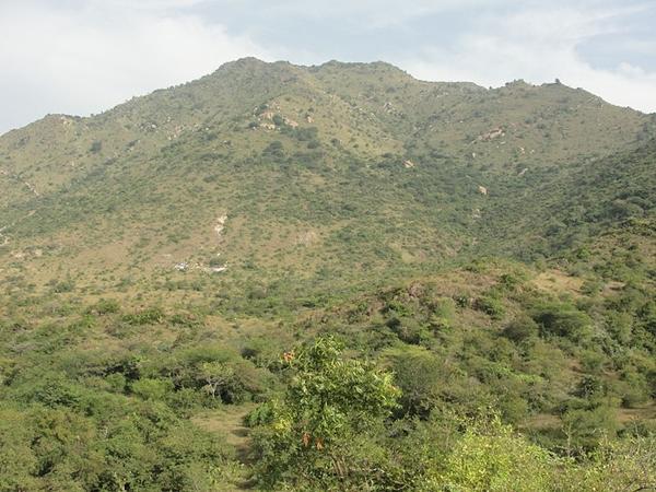 கிரிவலம்