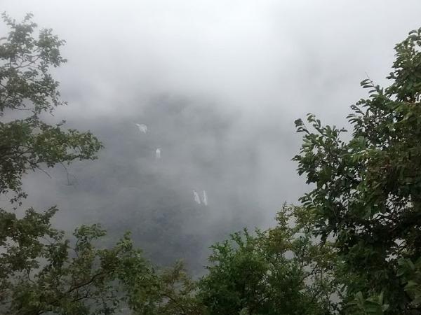 கிறிஸ்து அரசர் ஆலயம்