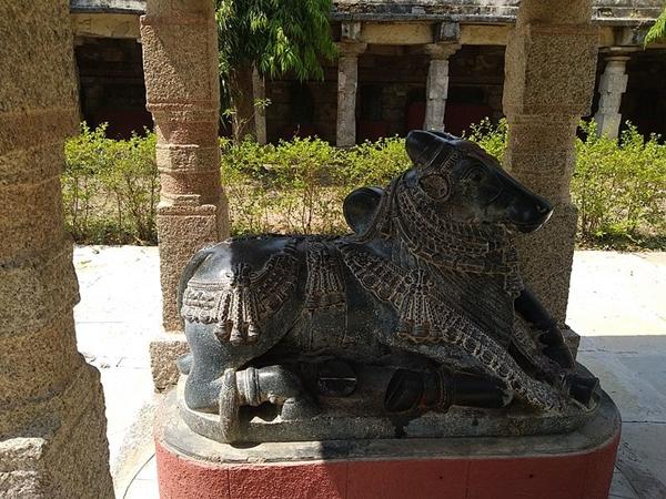 கேட்டதை நிறைவேற்றும் நந்தி