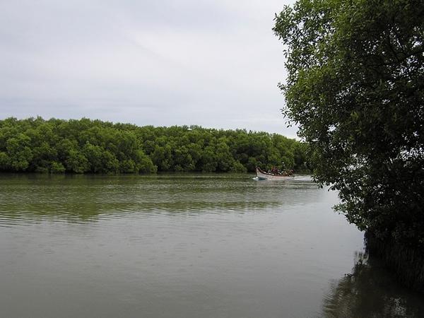 லகூன் காடு