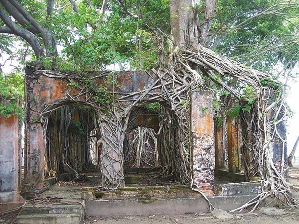 இறுதி வெளியேற்றம்
