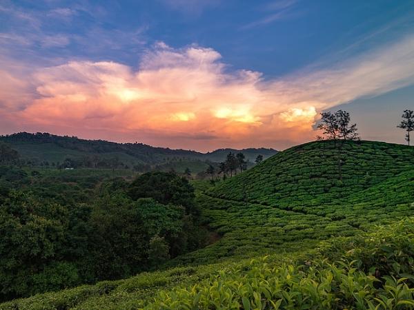 சக்லேஸ்பூர்
