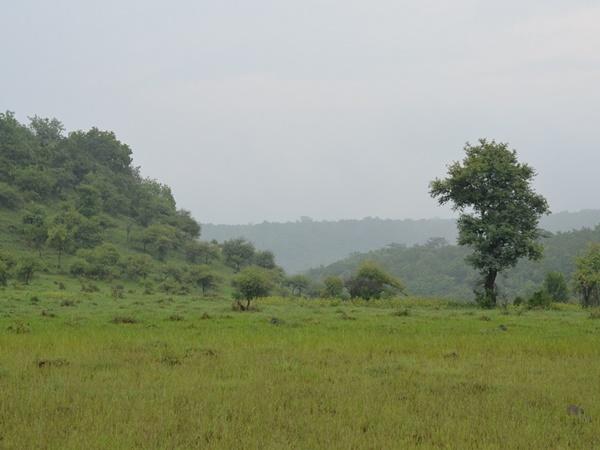 நாகசமுத்ரம் ஏரி