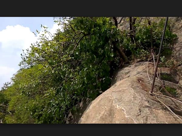 சிறப்பு