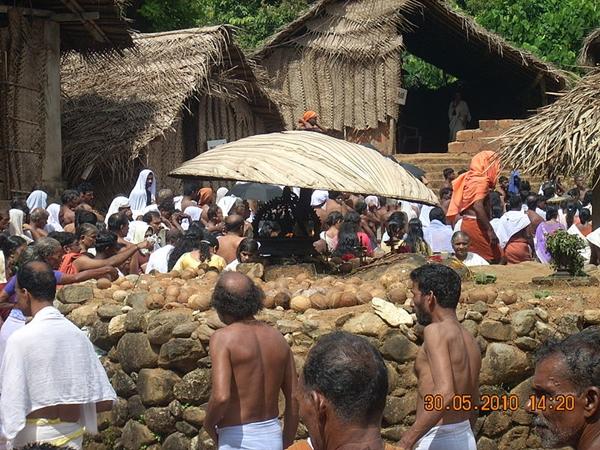 அம்மரக்கள் தாரா