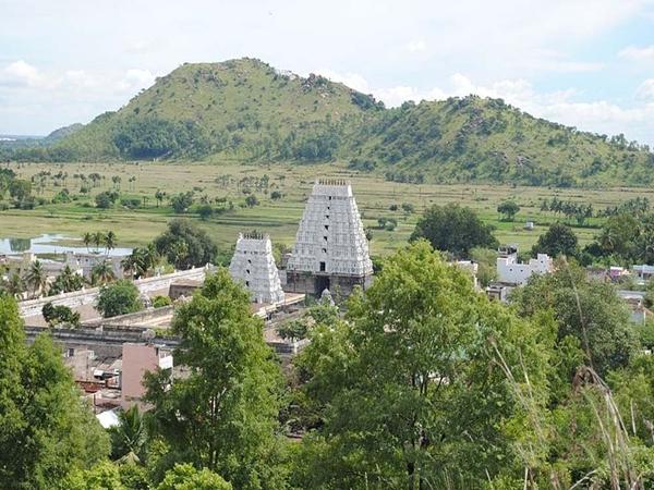 அன்னையின் திருவடி