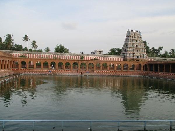 ராகு பகவான்