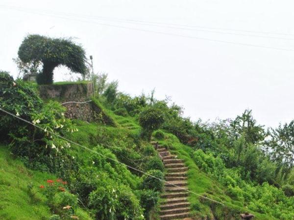 கோக்கர்ஸ் வாக்