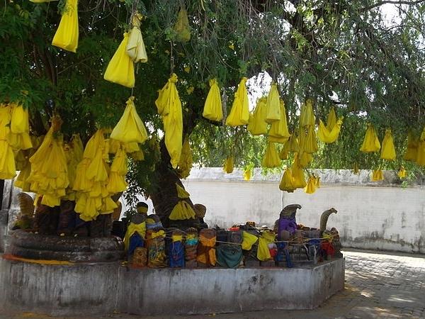 ஒருகாலில் தவம்