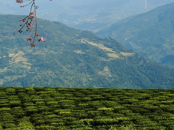 வித்தியாசமான புவியியல் அமைப்பு