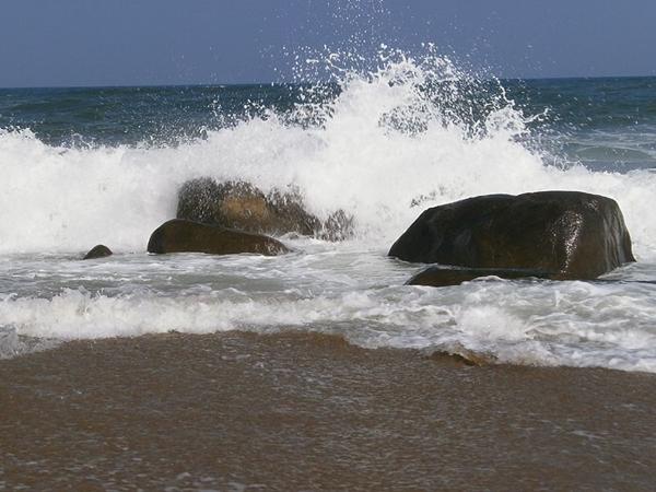 சுற்றுலா ஆர்வலர்கள்