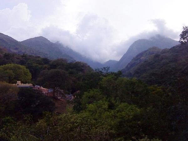 கோடையில் ஈர்க்கும் நம்பி