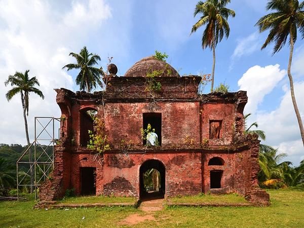 வைப்பர் தீவு
