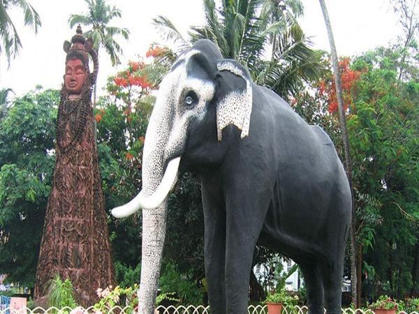 யானை முகாம்