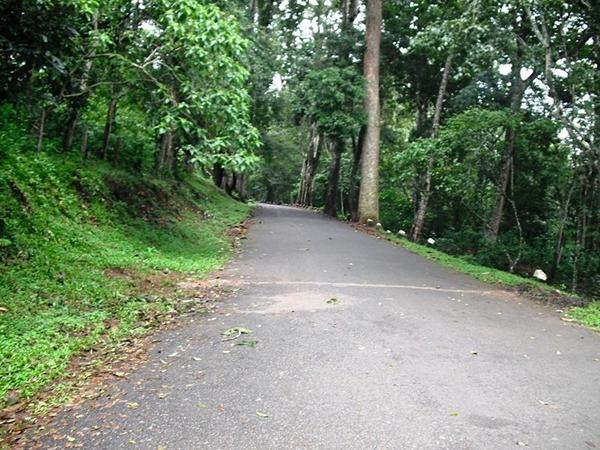 மூணார் - குமுளி