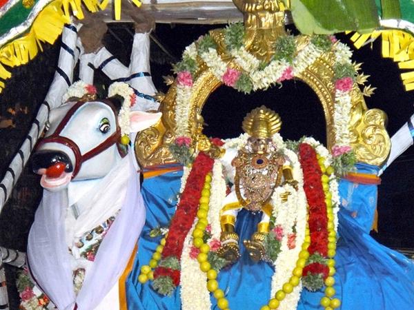 சிம்ம ராக்காரர்களே
