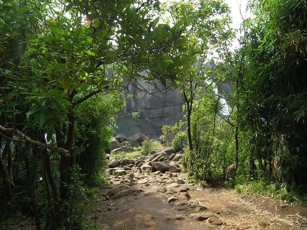 பறவைகள் சரணாலயம்