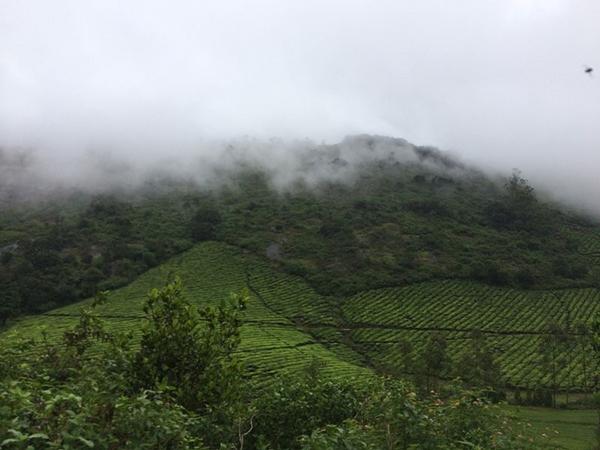 மேகமலை