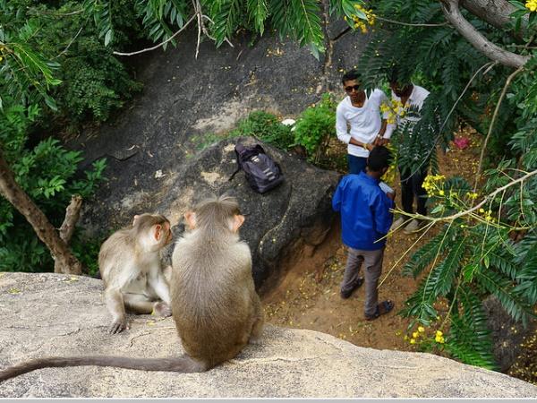 அந்தர்கங்கே டிரெக்கிங்