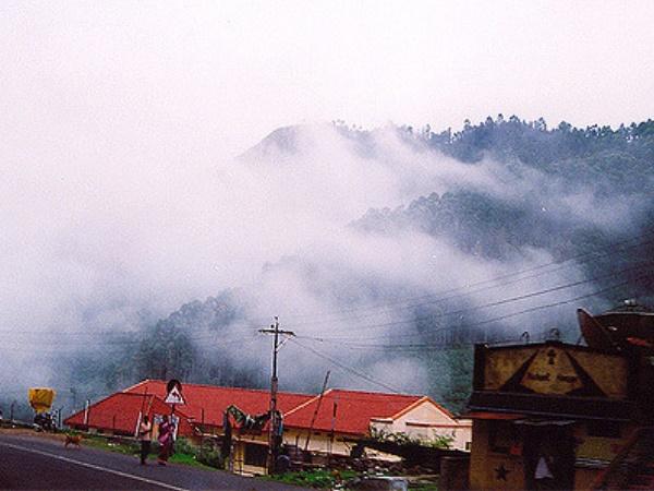உலக சிறப்புமிக்க கோடை வாழிடம்
