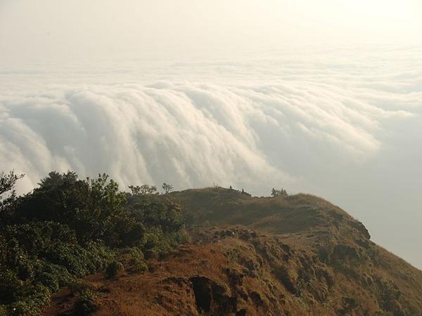 கொடசத்ரி