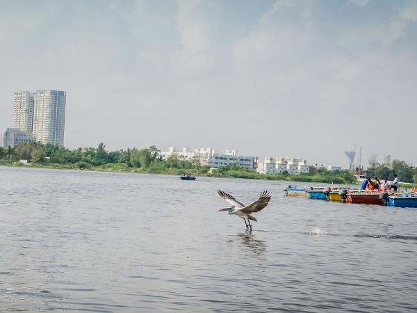 மாமல்லபுரம் - முட்டுக்காடு