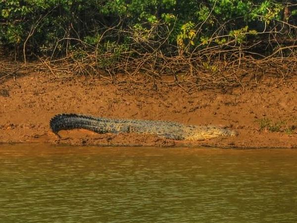 உணவுகளும் சிற்றுண்டிகளும்