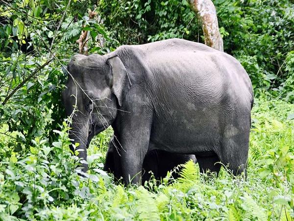 சுற்றுலாவை அனுபவிக்க