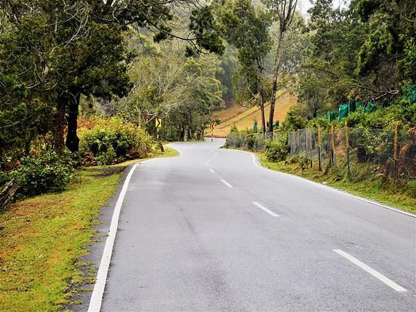 எப்போது தோன்றியது