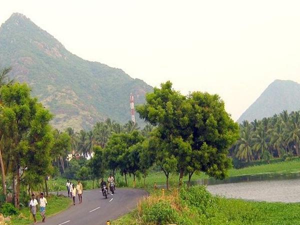 பூதப்பாண்டி கிராம குளம்