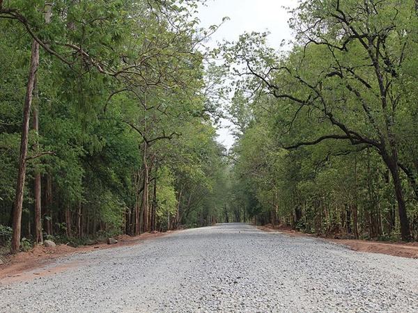 அழகு நிறைந்த இயற்கை காட்சிகள்