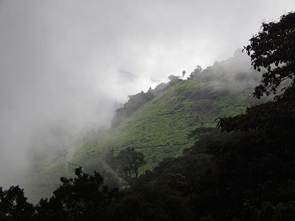 பொத்தன்மேடு