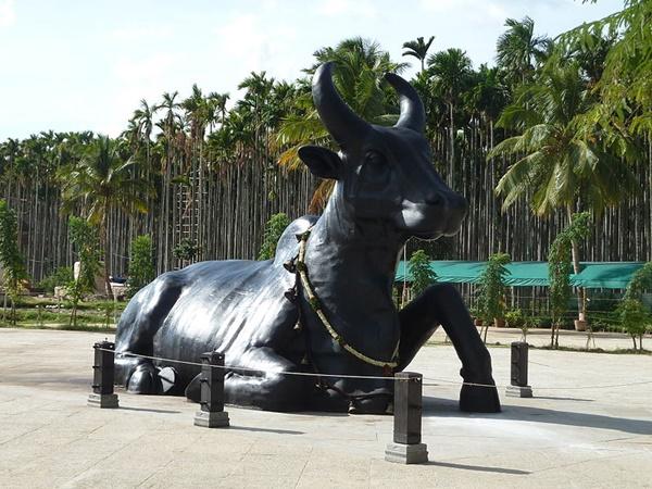 கோயம்புத்தூரில் தனிமையில் சுற்றுலா செல்ல சிறந்த மற்ற இடங்கள்