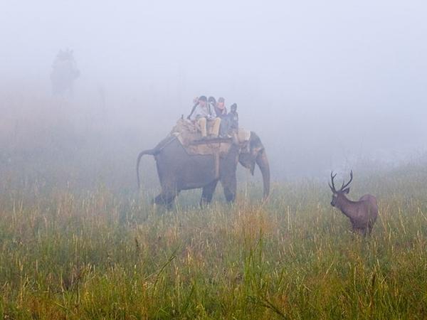 கார்பெட் தேசிய பூங்கா