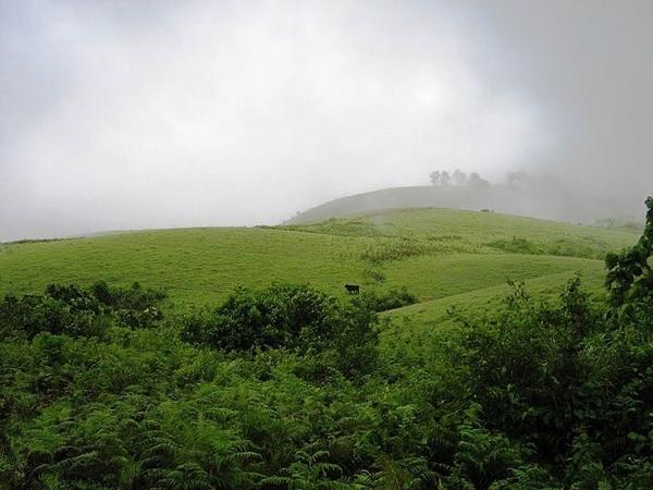 குளுகுளு கொழுக்குமலை
