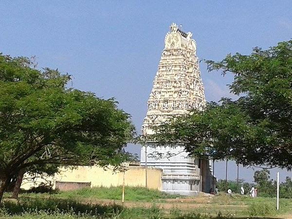 புண்ணிய சேனனுக்கு வாழ்வு தந்த ஆப்புடையார்