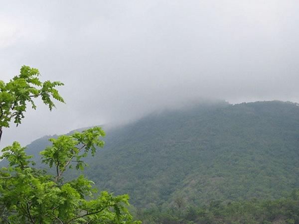 கண்காட்சித் தளங்கள்