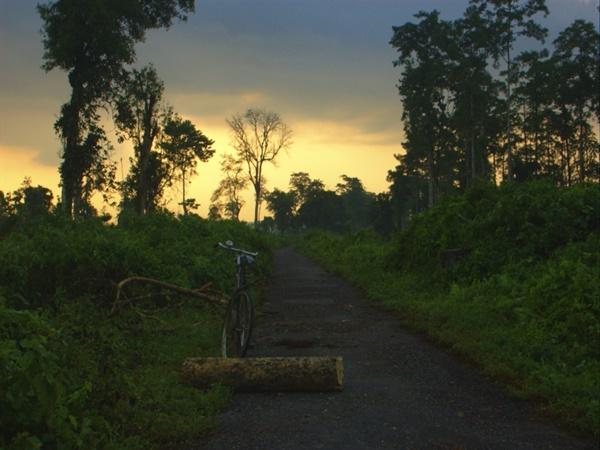 வெம்மையான நீரூற்றுகள்
