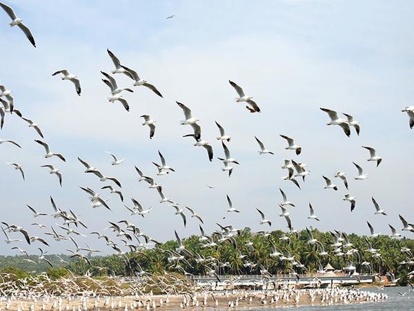 ஆலப்புழா - கொல்லம்