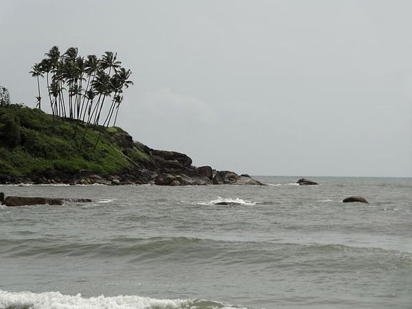 பட்டர்ஃப்ளை பீச்