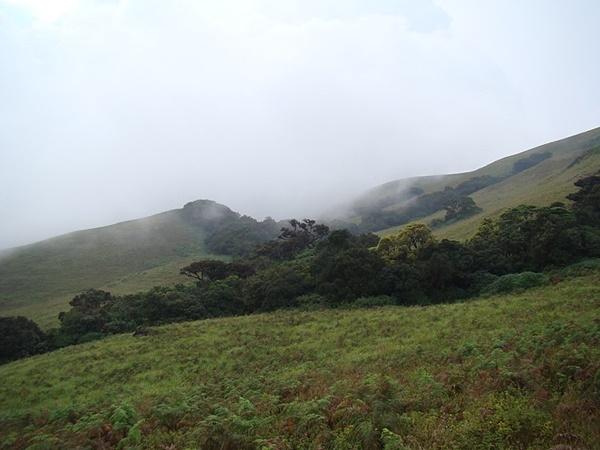 பீமேஷ்வரி வனவிலங்கு சரணாலயம்