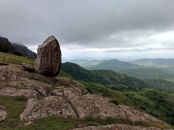 காட்டுயிர் சரணாலயம்