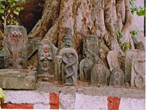 நாகதோஷ வழிபாடு