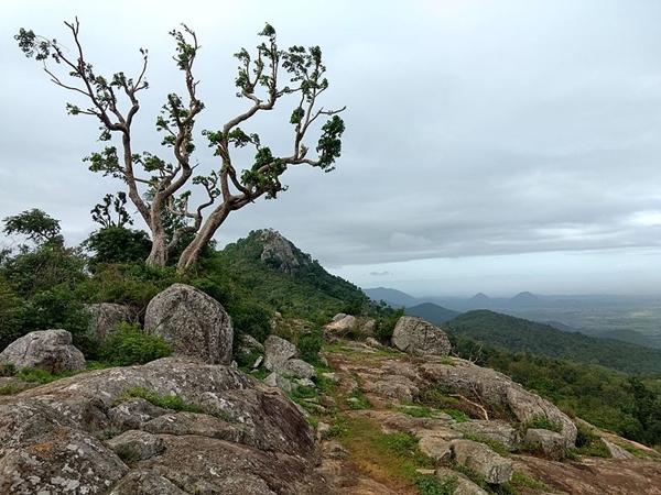 சாகச விரும்பிகளுக்காக