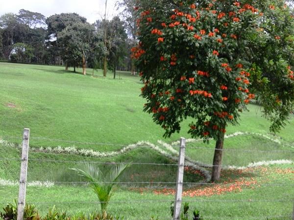 கோனிகொப்பல்