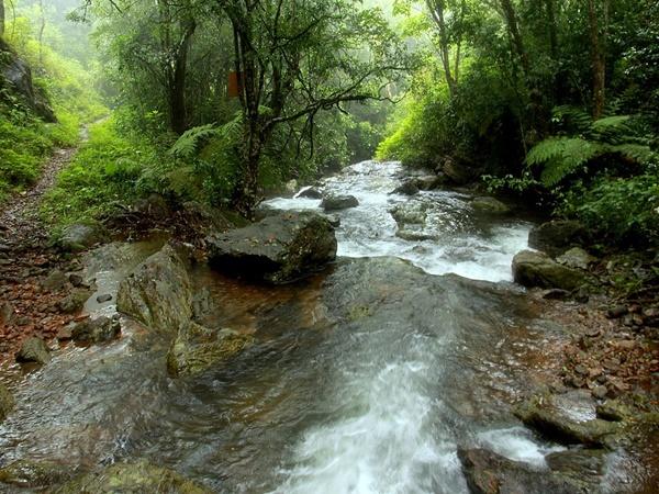 பறவைகளின் இன்னிசை கேட்போமா?
