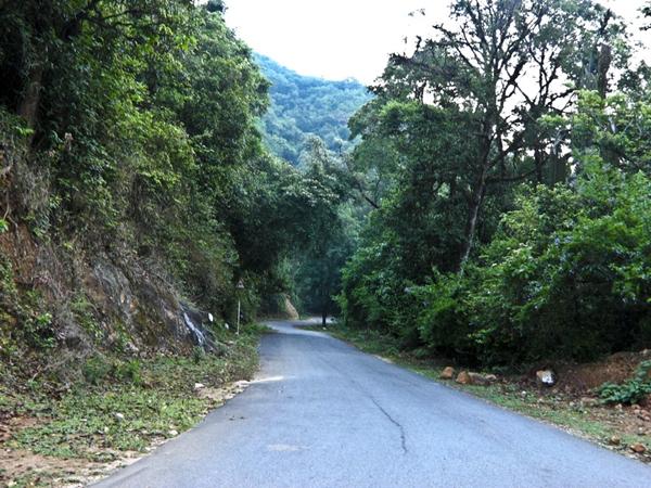 கோழிக்கோடு - தலைக் காவிரி